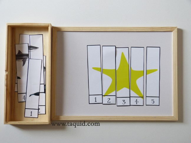 taqui_Puzzles numéricos