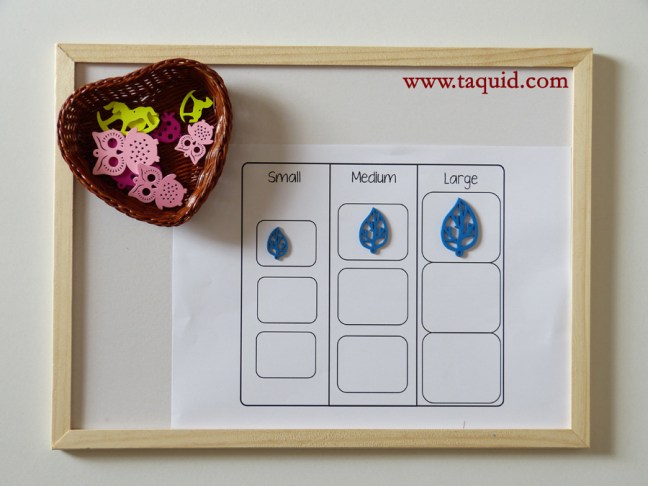 taqui_Tamanho dos Objectos