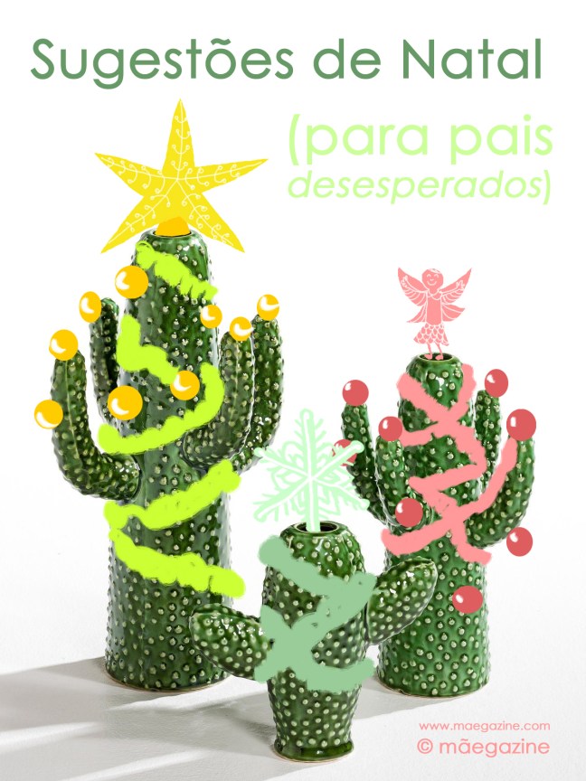 sugestoes cactos mgz