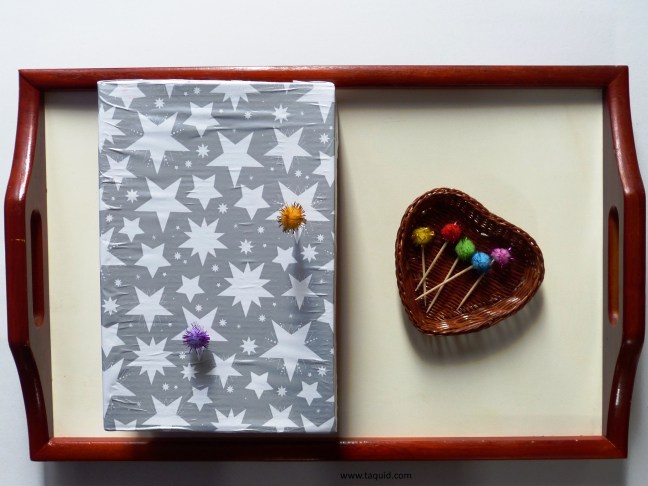 P1140411 Caixa de Sapatos