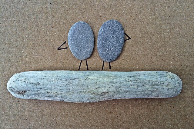 taquid férias de verão juntar paus e pedras e criar imagens ou histórias